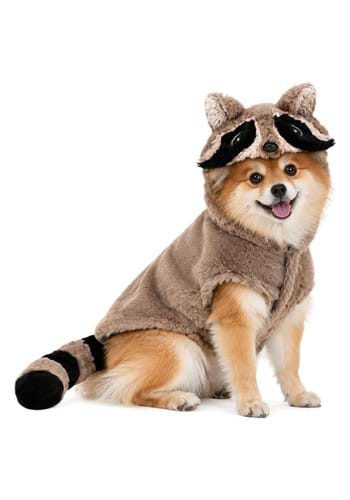 Raccoon Dog Costume UPD 1