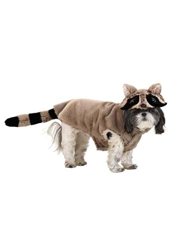 Dog Raccoon Costume