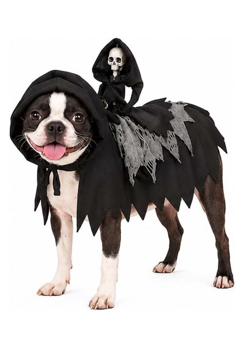 Grim Reaper Dog Costume upd