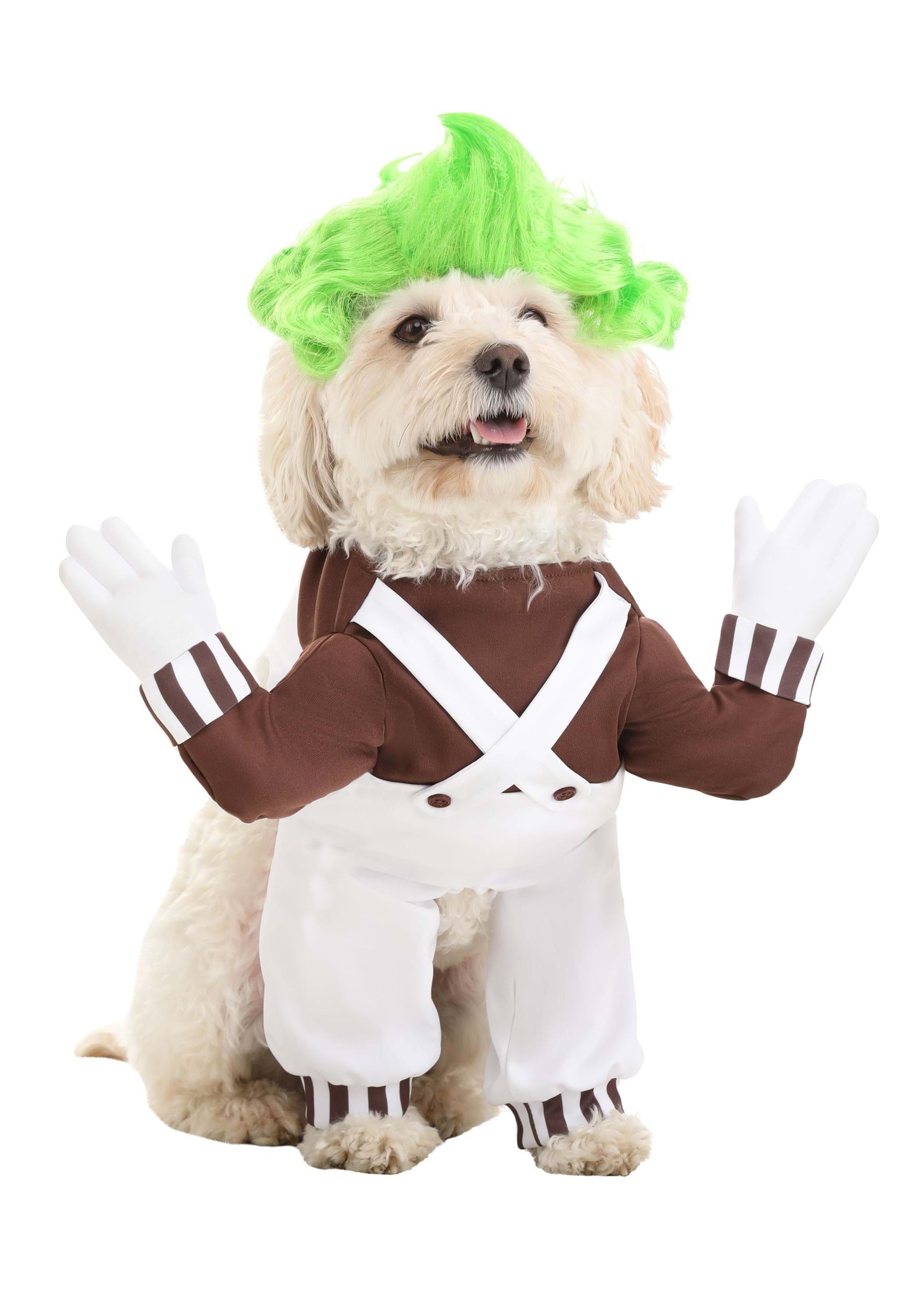 Dog Oompa Loompa Costume