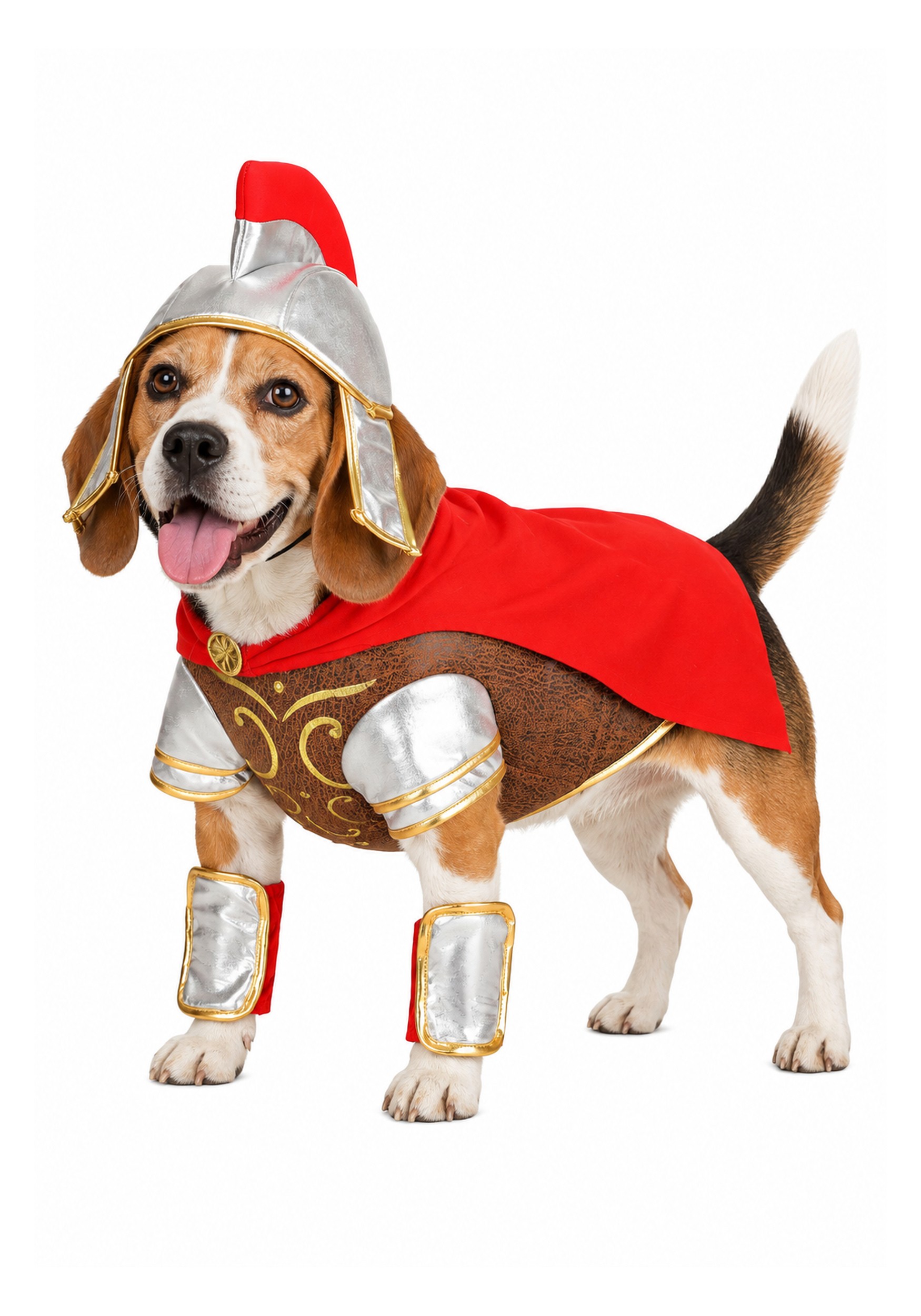 Gladiator Pet Costume | Halloween Pet Costumes