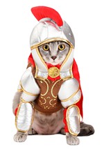 Gladiator Costume for Pets Alt 2