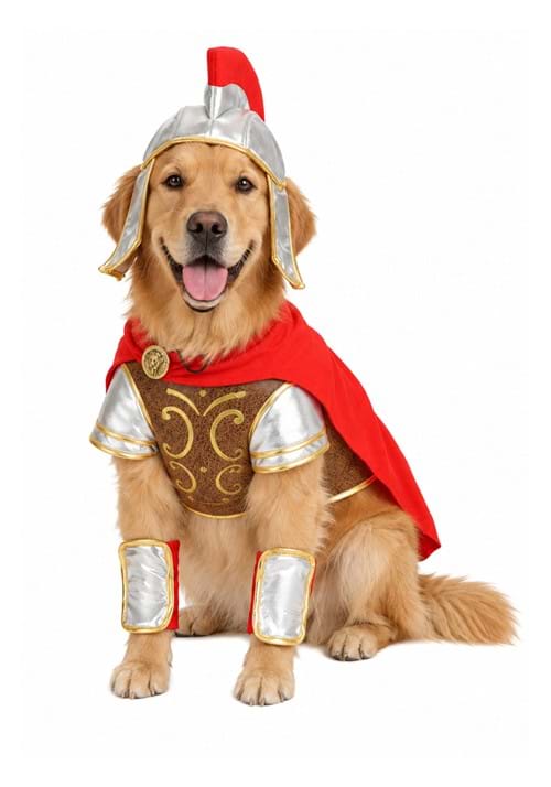 Gladiator Costume for Pets New Main