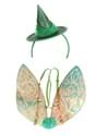 Disney Fauna Headband & Wings Kit Alt 4