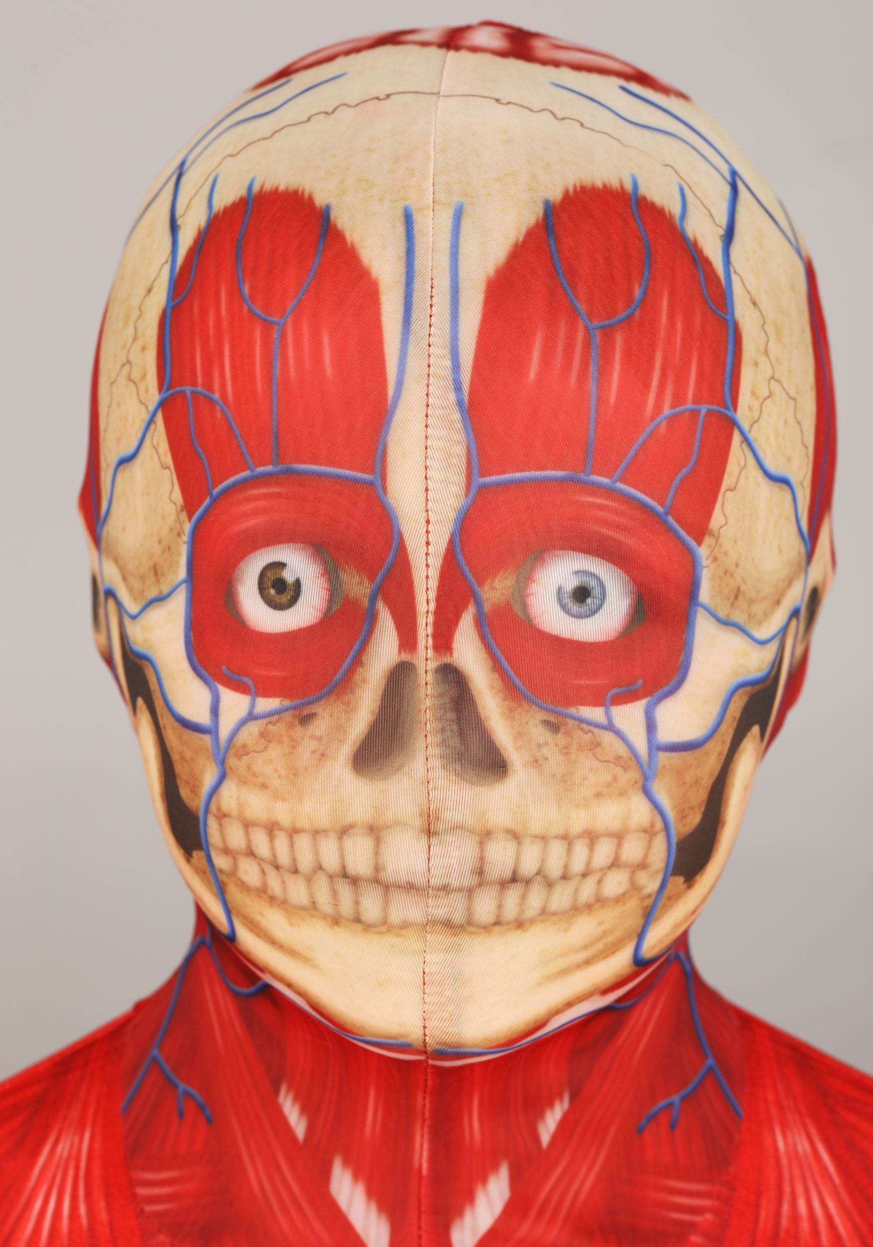 Kid's Anatomical Muscle Suit Costume