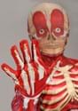 Body Skeleton Costume Alt 4