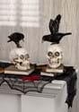 Set of 2 Resin LED Skull on Books w/Crow-update