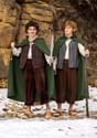 Adult Frodo Lord of the Rings Costume Alt 2
