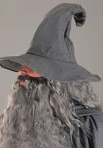 Adult Gandalf Lord of the Rings Costume Alt 5
