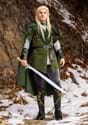 Adult Legolas Lord of the Rings Costume Alt 1