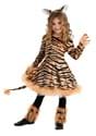 Kid's Snazzy Tiger Costume