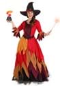 Womens Autumn Harvest Witch Costume
