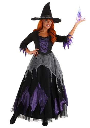 Adult Midnight Purple Witch Costume