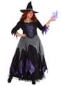 Plus Size Midnight Purple Witch Costume