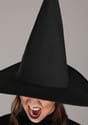 Adult Premium Wayward Witch Alt 2