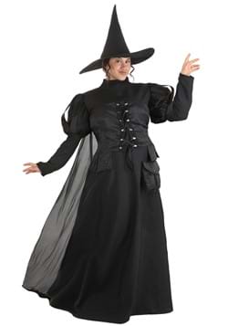 Plus Size Premium Wayward Witch Costume