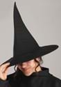Plus Size Premium Wayward Witch Costume Alt 2