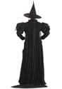 Plus Size Premium Wayward Witch Costume Alt 1