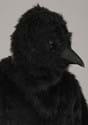 Adult Crow Mascot Costume Alt 1