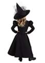 Girls Toddler Deluxe Witch Costume Alt 1