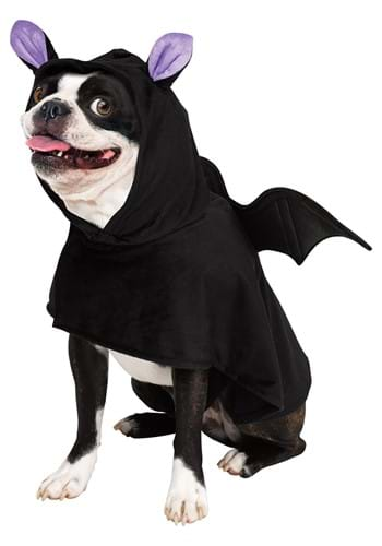 Bat Pet Costume