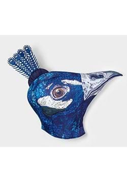 Adult Peacock Head