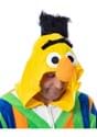 Adult Sesame Street Bert Union Suit Alt 2