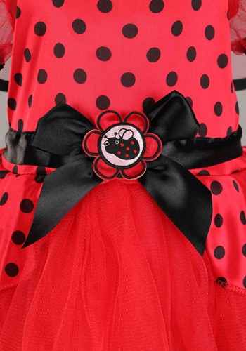 Little Ladybug Infant Costume