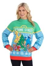 Adult Sesame Street Christmas Sweater Alt 4