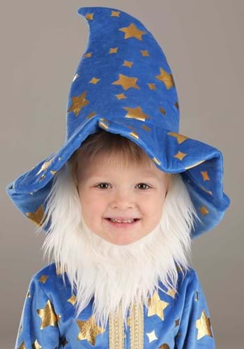 Li'l Wizard Toddler Costume