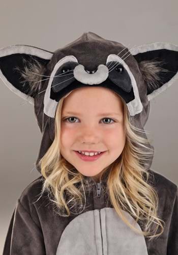 Girl's Tutu Raccoon Toddler Costume Dress | Animal Costumes