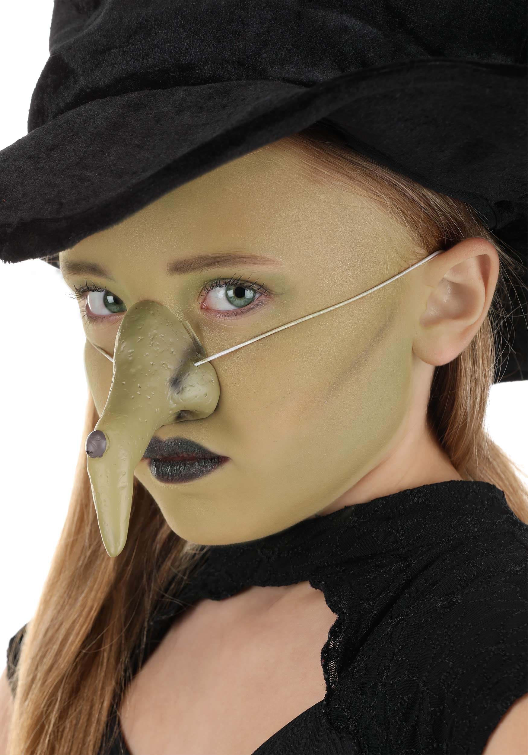 https://images.halloweencostumes.com/products/79836/1-1/witch-nose.jpg