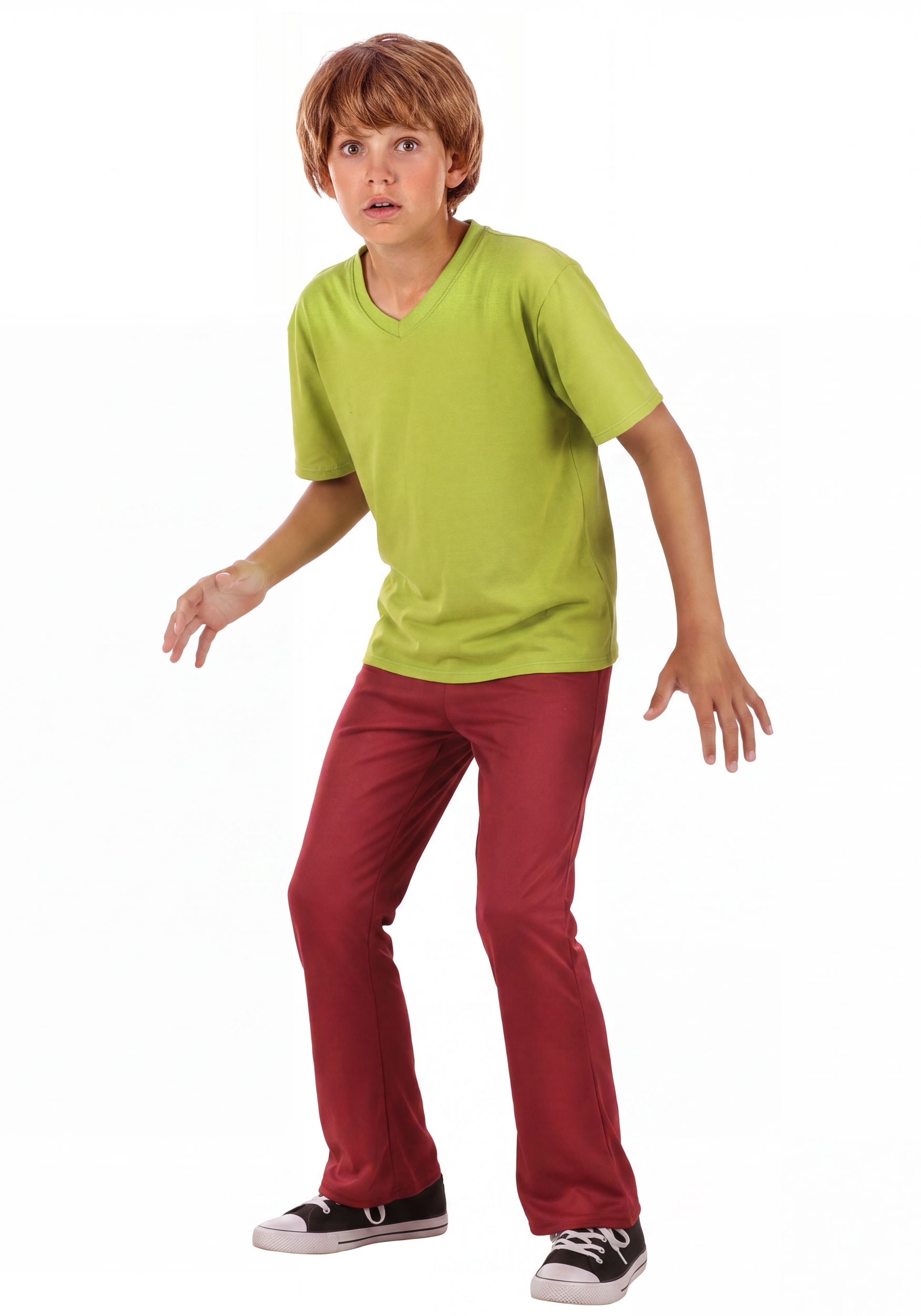 Scooby Doo Boy's Shaggy Costume