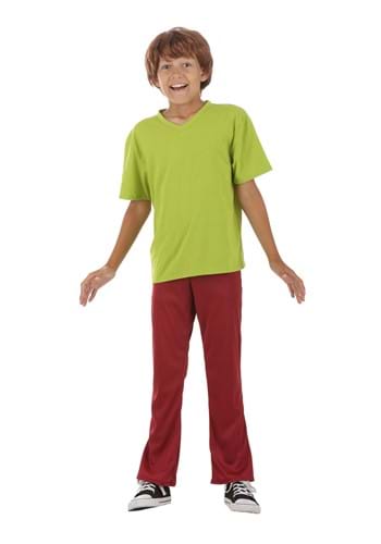 Boy's Scooby Doo Shaggy Costume