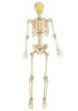 Electronic Eyes Poseable Skeleton Decoration Alt 1
