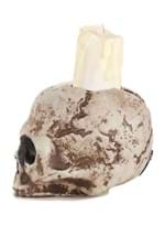 Ancient Skull Candle Decoration Alt 1