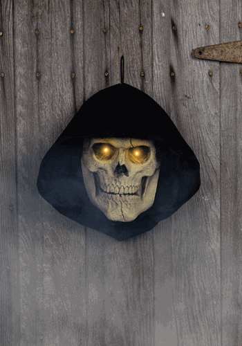 Reaper Skull Door Decoration new