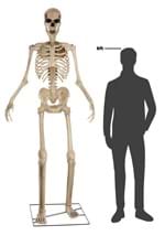 Giant 8' Animated Skeleton Decoration Alt 11