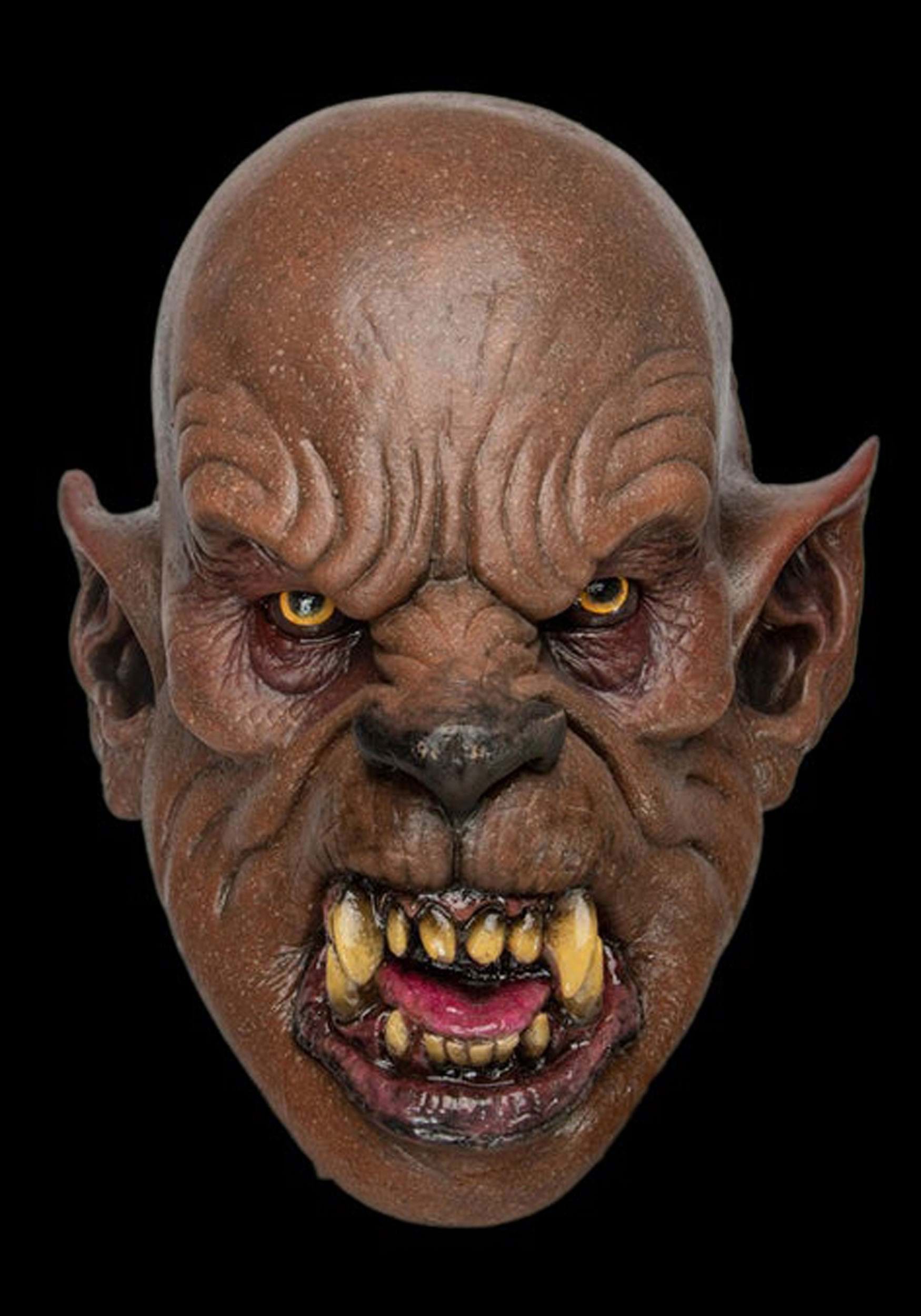 Wolfman Adult Costume Mask | Halloween Masks