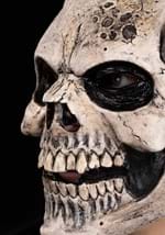 Antic Skull Full Face Mask Alt 2
