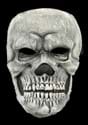 Classic Adult Skull Mask-0-2