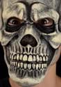 Classic Skull Mask Alt 2