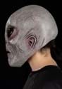 Alien Adult Immortal 3/4 Mask Alt 2
