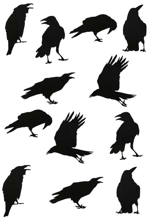 Set of 12 Black Crow Stickers Decoration | Wall Decorations