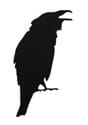 Crow Stickers - 12pcs Alt 3