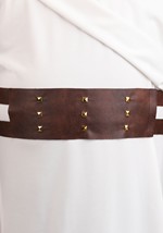 Plus Size Deluxe Greek Warrior Costume for Men Alt 5