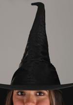 Huge Brim Witch Costume Hat Alt 2