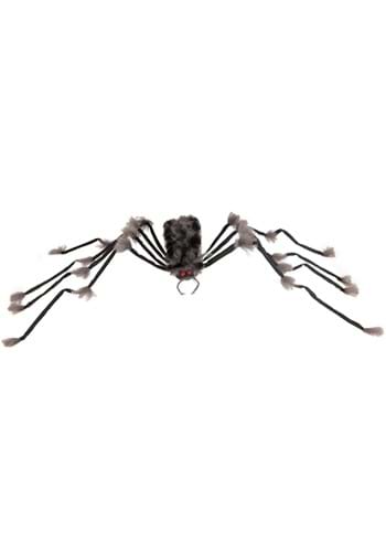 Large Gray Hairy Spider