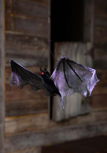 Hanging bat new