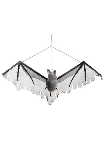 Hanging Gray Bat